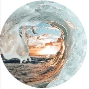 Meet your Posher, Lena